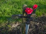 image of grave number 198785